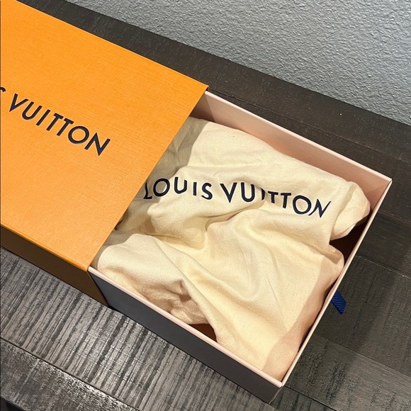Louis Vuitton Shimmering Gold Sandals - Picture 12 of 12